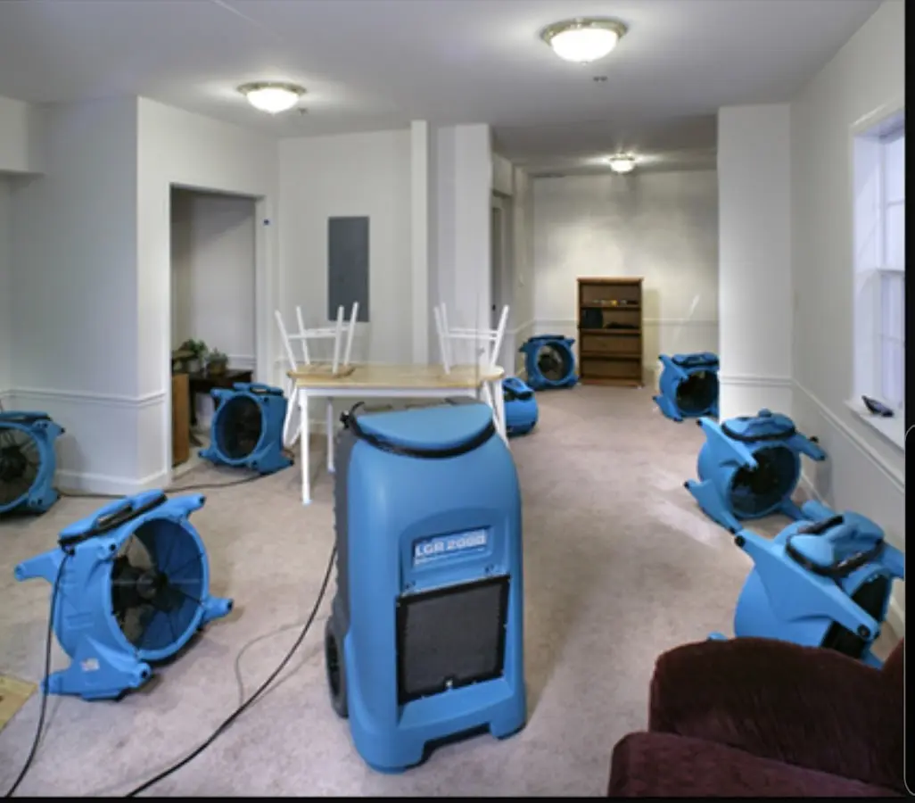 Air movers and dehumidifier setup for Water Extraction & Removal in Willington