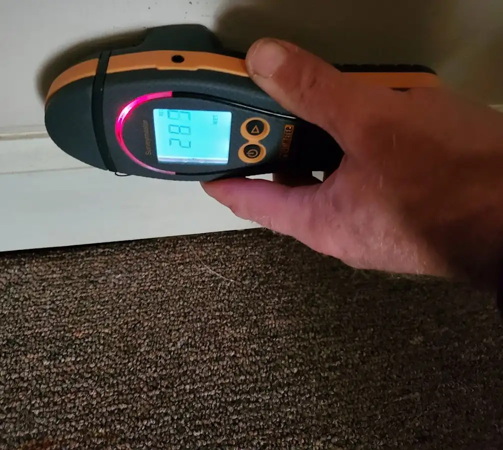 Moisture detection at baseboard during Mold Inspection & Testing in Willington
